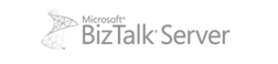 BizTalk Partner