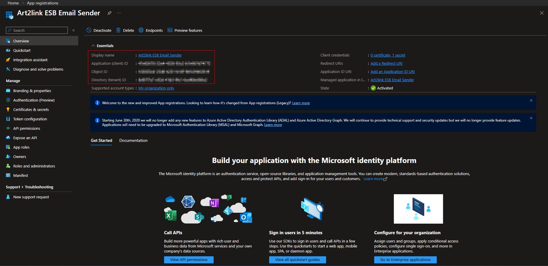 App registration overview with Application client ID and Directory tenant ID highlighted